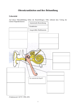Ohrenkrankheiten und ihre Behandlung (Vortrag) (DOC, 273 KB)