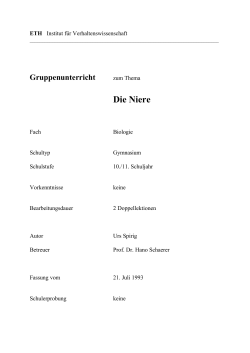 Niere (Puzzle) (PDF, 572 KB)