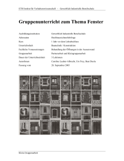 Fenster (Gruppenarbeit) (PDF, 476 KB)