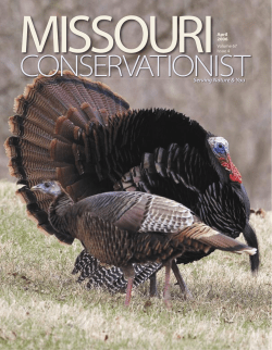 Download the current issue