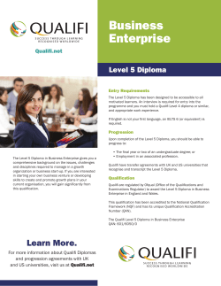 Business Enterprise (Entrepreneurship)