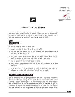 PDF file that opens in a new window