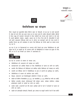 PDF file that opens in a new window