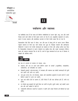 PDF file that opens in a new window