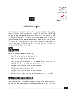 PDF file that opens in a new window