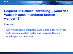 Schall 2 (PDF, 2.6 MB)