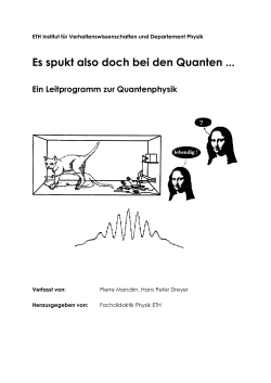 Leitprogramm (DOC, 477 KB)