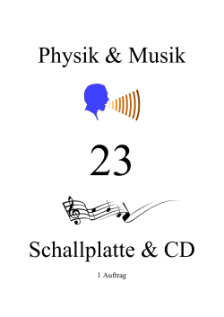 Schallplatte (DOC, 2.7 MB)