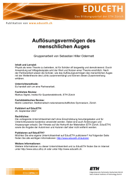 Aufl&ouml;sungsverm&ouml;gen des menschlichen Auges (Gruppenarbeit) (PDF, 445 KB)