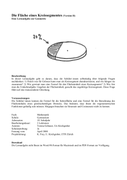 Lernaufgabe (DOC, 214 KB)
