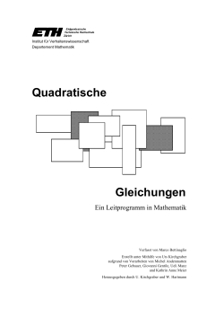 Leitprogramm (DOC, 1.4 MB)