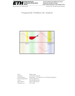 Puzzle: Numerische Verfahren der Analysis (PDF, 317 KB)