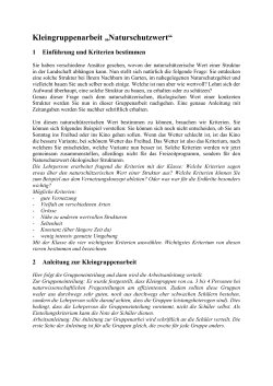 Kleingruppenarbeit (WORD) (DOC, 122 KB)