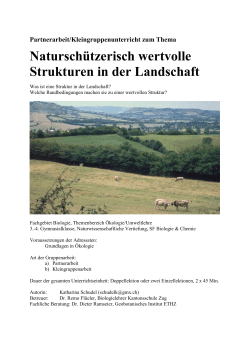 Natursch&uuml;tzerisch wertvolle Strukturen (Gruppenarbeit) (DOC, 164 KB)