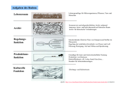 Nachhaltigkeit und Boden (Kopien f&uuml;r Sch&uuml;ler/innen) (PDF, 152 KB)