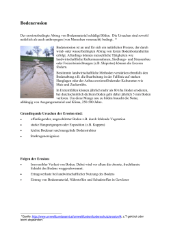 Nachhaltigkeit und Boden (Bodenerosion) (PDF, 181 KB)