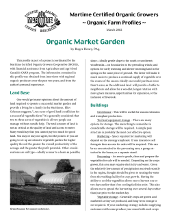 Organic Market Garden