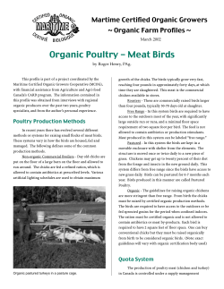 Pastured Poultry with Tarrah Young