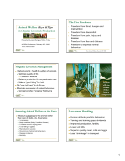 Animal Welfare Keys & Tips in Organic Livestock Production