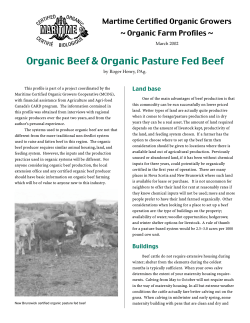 Organic Beef & Organic Pasture Fed Beef