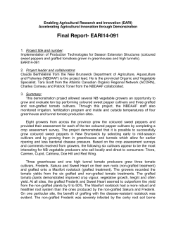 EARI Grafted Tomato and Coloured Pepper Demo Project Results