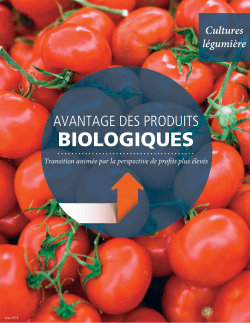 Avantage des produits biologiques : production l&Atilde;&copy;gumi&Atilde;&uml;re