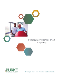 Community Service Plan
