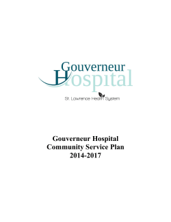 Community Service Plan