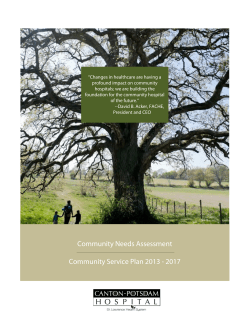 Community Service Plan