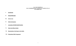 Community Service Plan