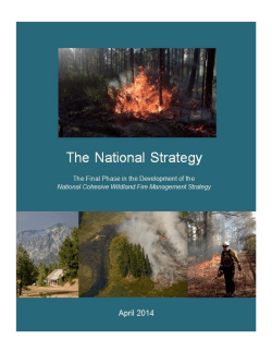 National Cohesive Wildland Fire Management Strategy
