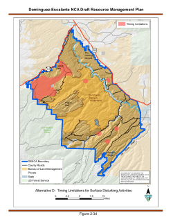 Alternative D: Timing Limitations for Surface Disturbing Activities (2 3d)