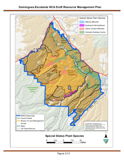 Special Status Plant Species (3 13)
