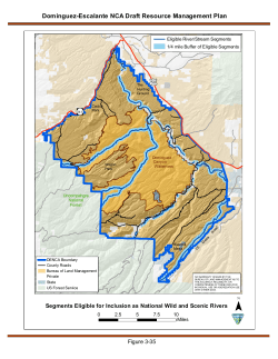 Segments Eligible for Inclusion as National Wild and Scenic Rivers (3 35)