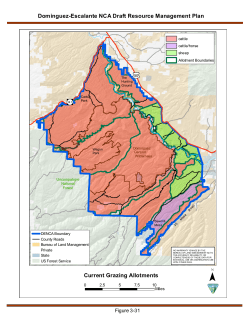 Current Grazing Allotments (3 31)