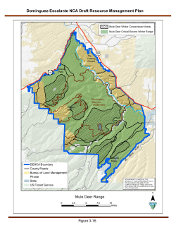 Mule Deer Range (3 16)