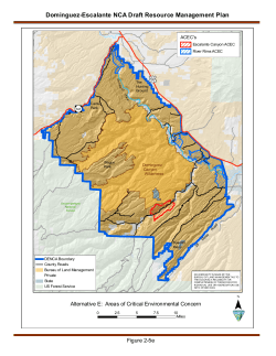 Alternative E: Areas of Critical Environmental Concern (2 5e)