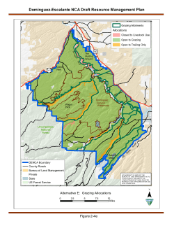 Alternative E: Grazing Allocations (2 4e)