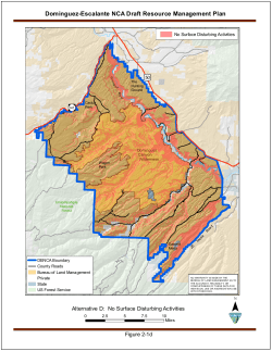 Alternative D: No Surface Disturbing Activities (2 1d)