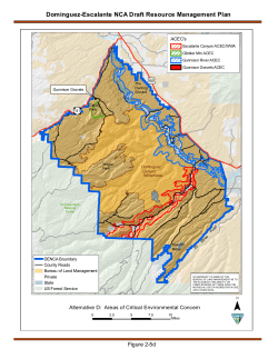 Alternative D: Areas of Critical Environmental Concern (2 5d)