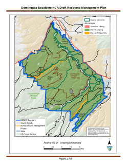 Alternative D: Grazing Allocations (2 4d)