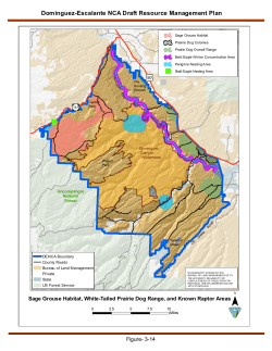 Gunnison Sage-grouse Habitat, White-tailed Prairie Dog Range, and Known Raptor Areas (3 14)
