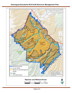Riparian and Wetland Areas (3 4)