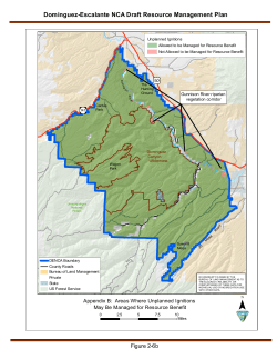 Alternative B: Areas Where Unplanned Ignitions May be Managed for Resource Benefit (2 6b)