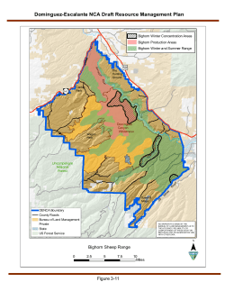 Desert Bighorn Sheep Range (3 11)