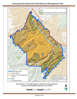 Alternative B: Lands managed for Wilderness Characteristics (Outside of designated Wilderness and WSAs) (2 11b)