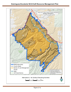 Alternative A: No Surface Disturbing Activities (2 1a)