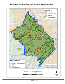 Alternative A: Grazing Allocations (2 4a)