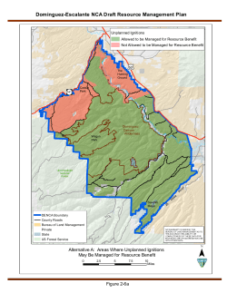 Alternative A: Areas Where Unplanned Ignitions May be Managed for Resource Benefit (2 6a)