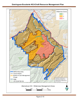 Alternatives D-E: Wilderness Management Zones (2 10)